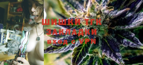 тгк Алзамай
