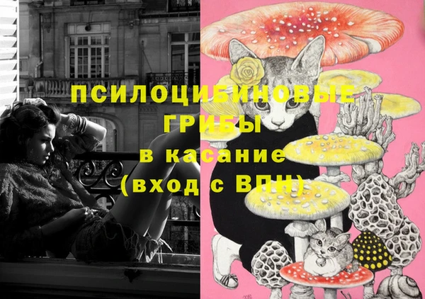 тгк Алзамай